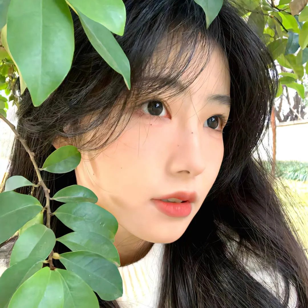 秋水伊人