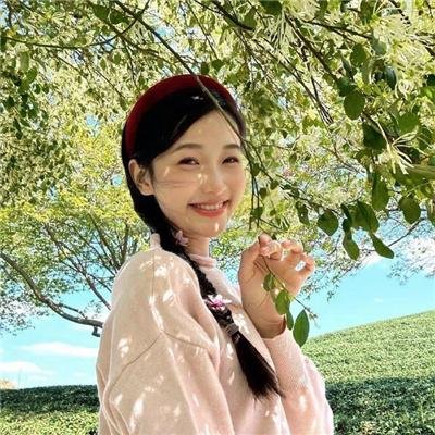 绿叶对根的情意